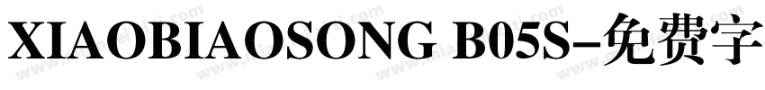 XIAOBIAOSONG B05S字体转换